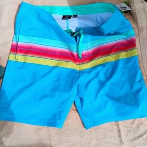 Men's Blue Swim Shorts with Multicolor Stripes